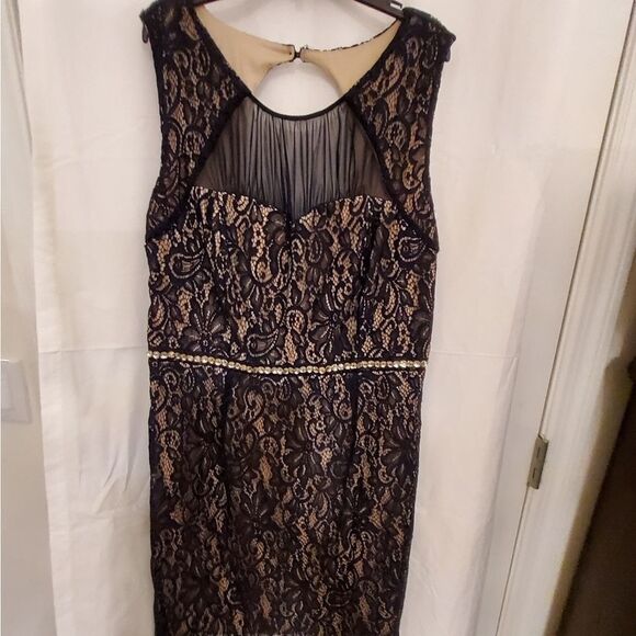 BRAND NEW ENFOCUS LACE BLACK &TAN SLEEVELESS ROUND NECKLINE DRESS - Picture 1 of 10